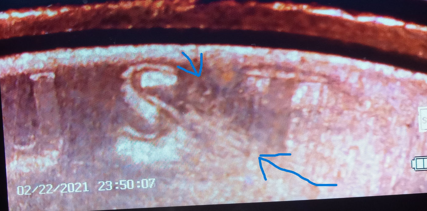 Need-Help-With-This-No-Date-Penny